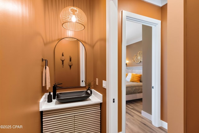 bathroom featuring wood finished floors and a sink