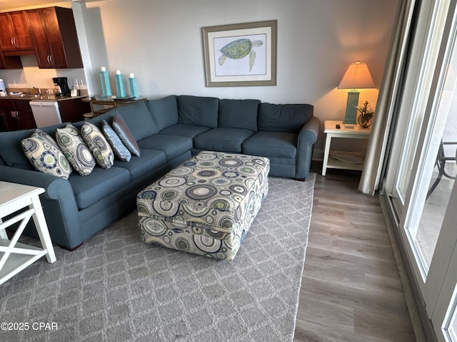 living room featuring wood finished floors