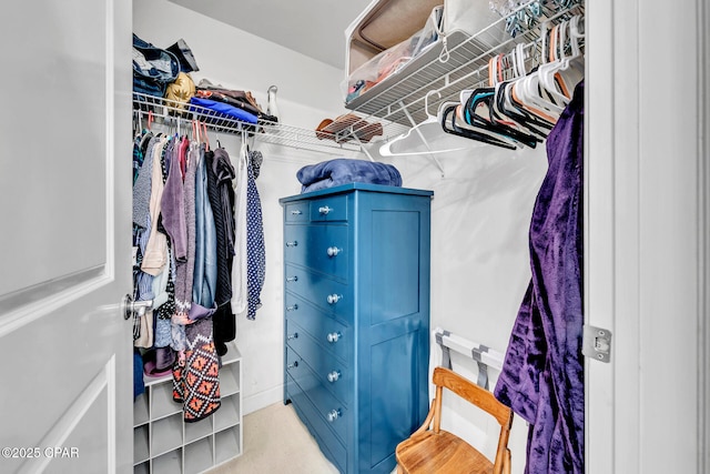 7505 Thomas Dr Unit 512B, Panama City, FL 32408 - spacious closet with carpet