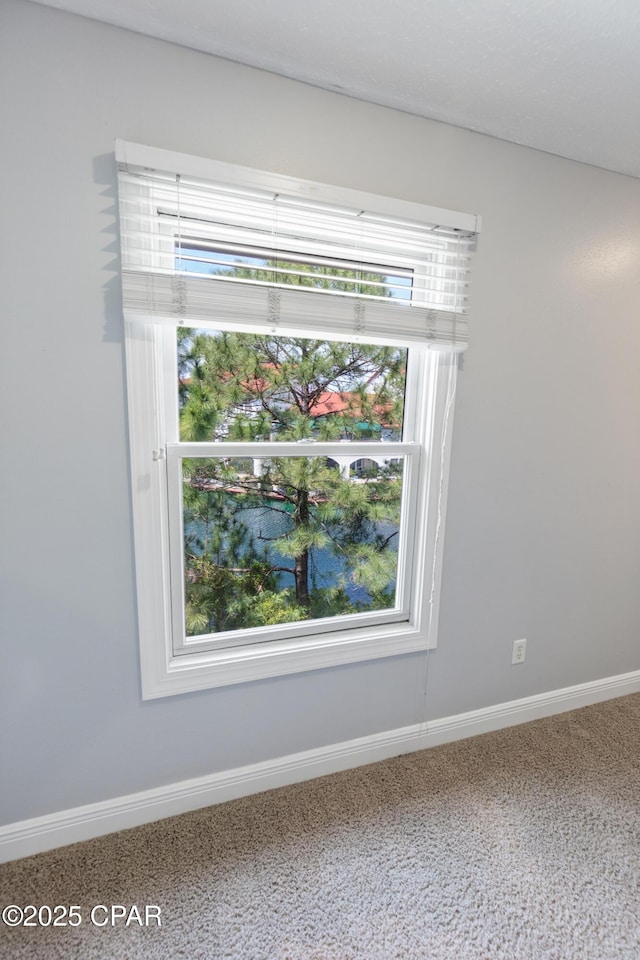 room details with carpet floors and baseboards