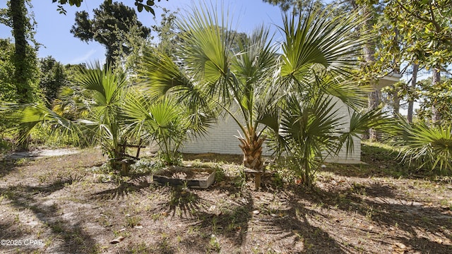 view of landscape