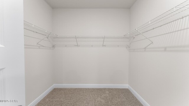 3326 Rachel Pl, Panama City, FL 32409 - spacious closet featuring carpet floors