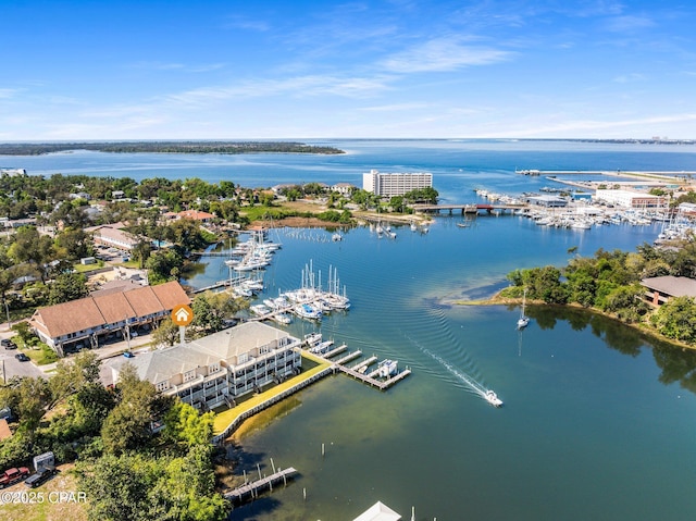 drone / aerial view with a water view