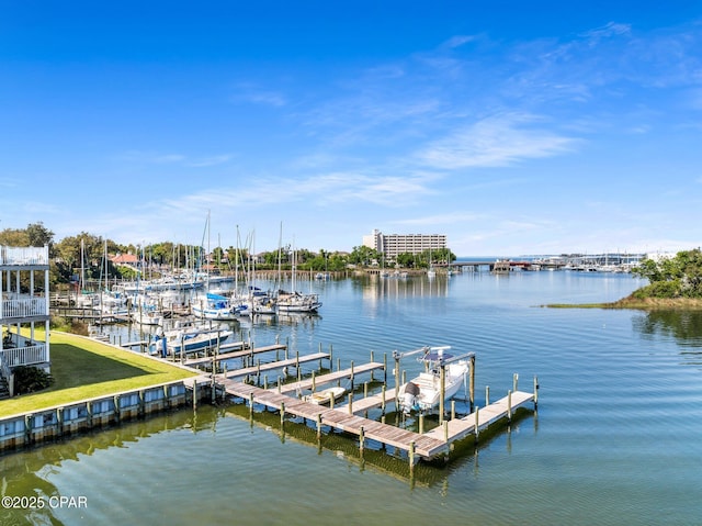 dock area featuring a water view