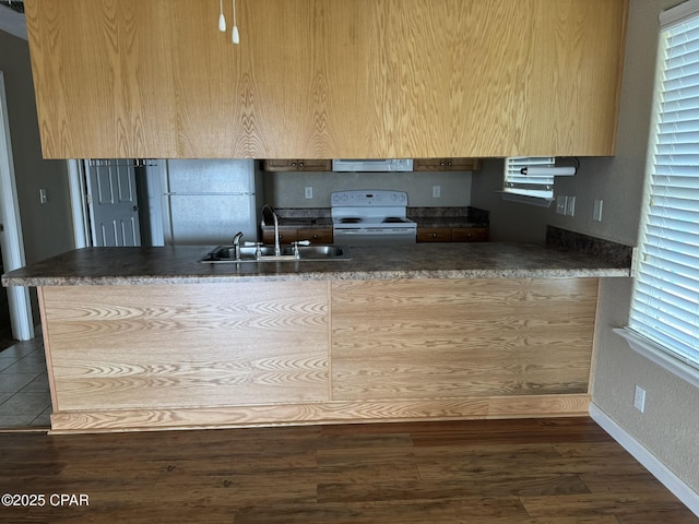 kitchen with ventilation hood, dark wood-style floors, electric stove, a sink, and freestanding refrigerator