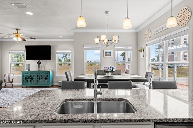 kitchen with crown molding, a sink, plenty of natural light, and open floor plan
