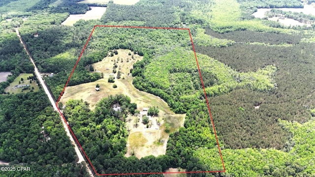 1718 Robbins Bridge Rd, Bonifay, FL 32425