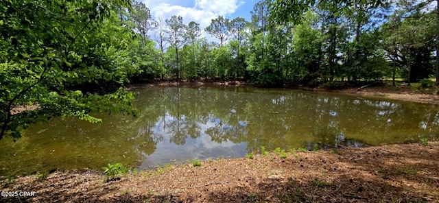 1718 Robbins Bridge Rd, Bonifay, FL 32425