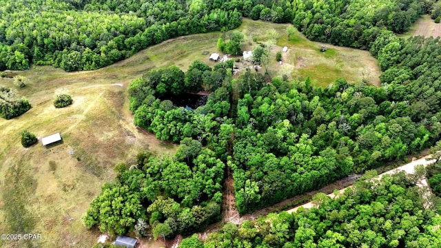 1718 Robbins Bridge Rd, Bonifay, FL 32425