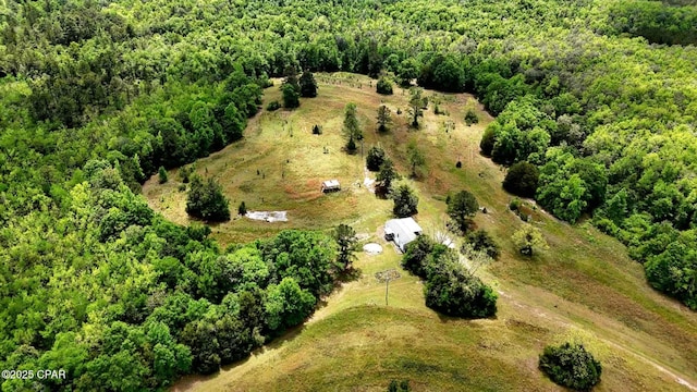 1718 Robbins Bridge Rd, Bonifay, FL 32425