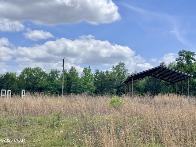 1718 Robbins Bridge Rd, Bonifay, FL 32425