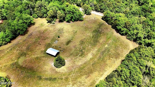 1718 Robbins Bridge Rd, Bonifay, FL 32425