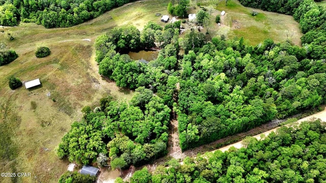 1718 Robbins Bridge Rd, Bonifay, FL 32425
