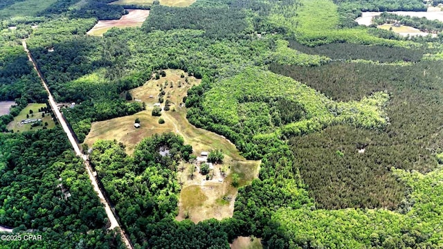 1718 Robbins Bridge Rd, Bonifay, FL 32425