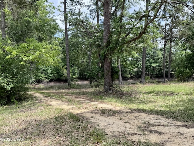 1718 Robbins Bridge Rd, Bonifay, FL 32425