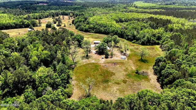 1718 Robbins Bridge Rd, Bonifay, FL 32425