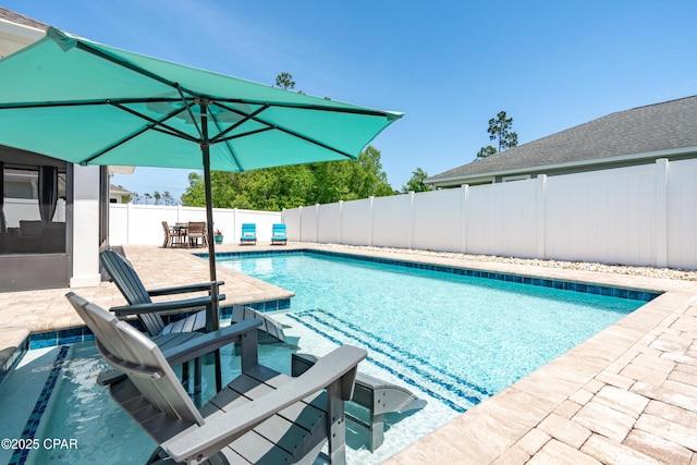 view of pool featuring a fenced in pool, a patio, and a fenced backyard