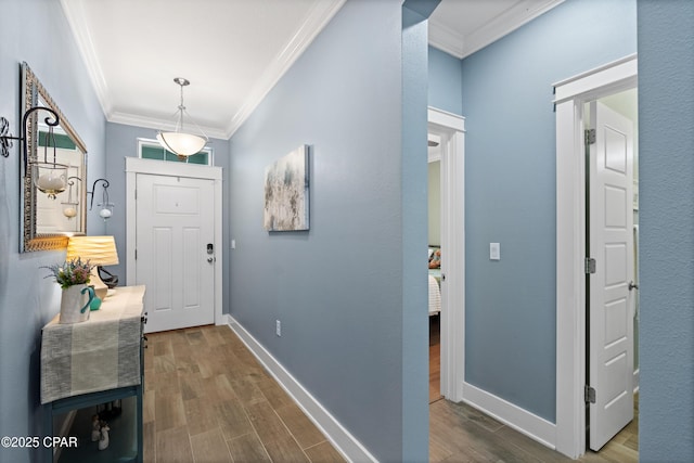 entrance foyer with crown molding, baseboards, and wood finished floors