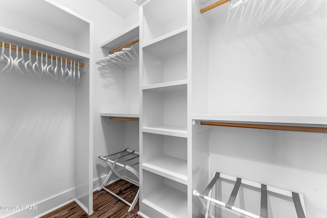 walk in closet featuring wood finished floors