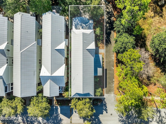 44 E Royal Fern Way, Santa Rosa Beach, FL 32459 - aerial view of property and surrounding area with property parcel outlined