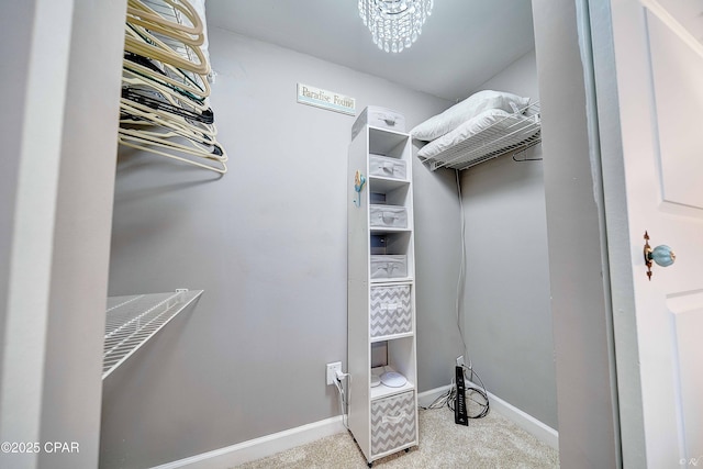 walk in closet with carpet flooring