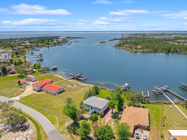bird's eye view with a water view