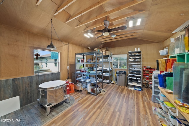 storage room with ceiling fan