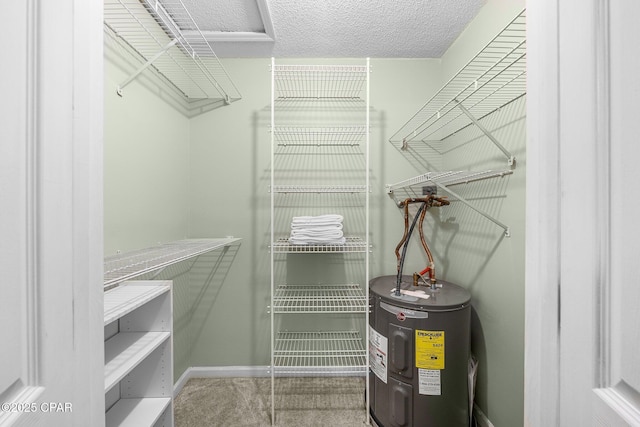 spacious closet with water heater and carpet