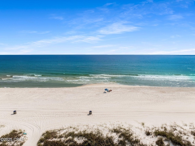 water view featuring a beach view