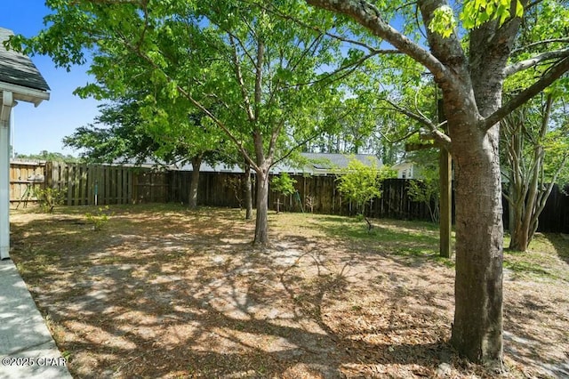 view of yard featuring a fenced backyard