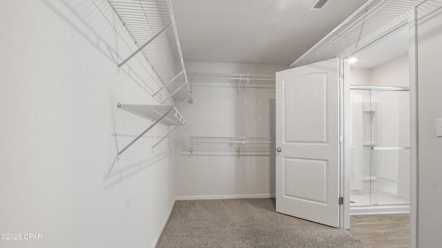 view of walk in closet