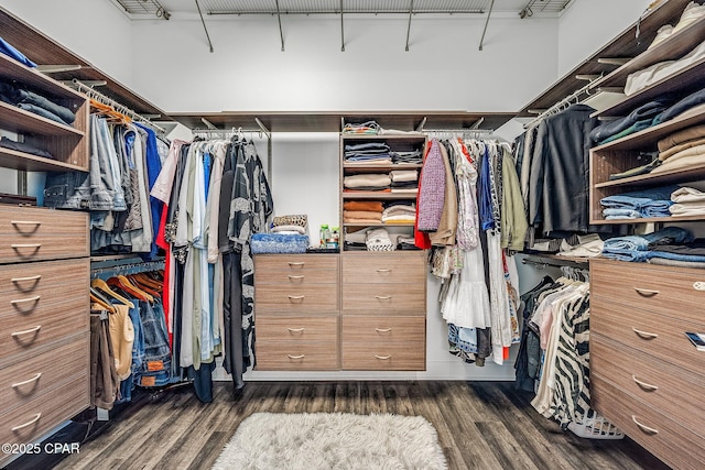 spacious closet with dark wood-style flooring