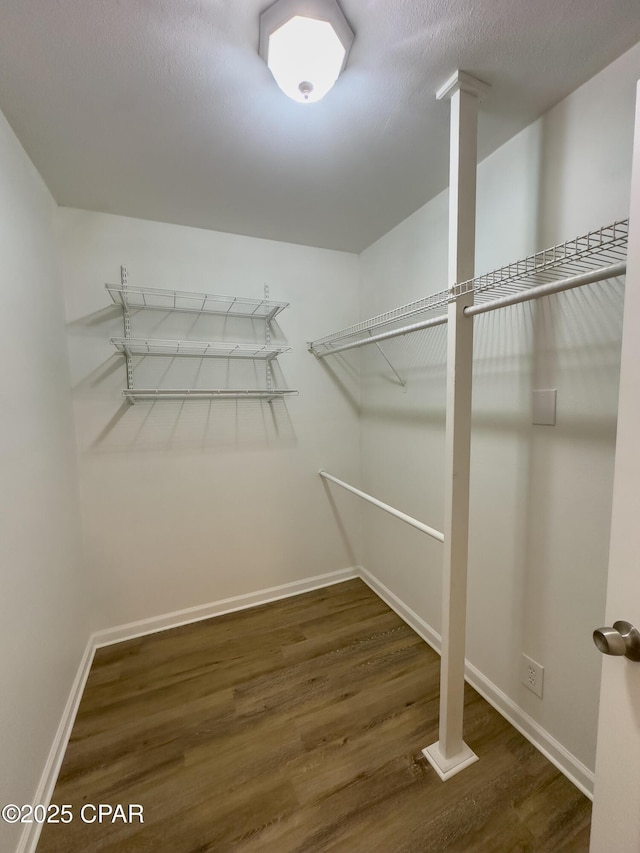 walk in closet featuring wood finished floors