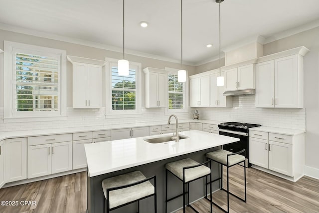 19 Mckenna Way, Santa Rosa Beach, FL 32459 - kitchen with range with gas stovetop, a sink, under cabinet range hood, a kitchen bar, and white cabinets