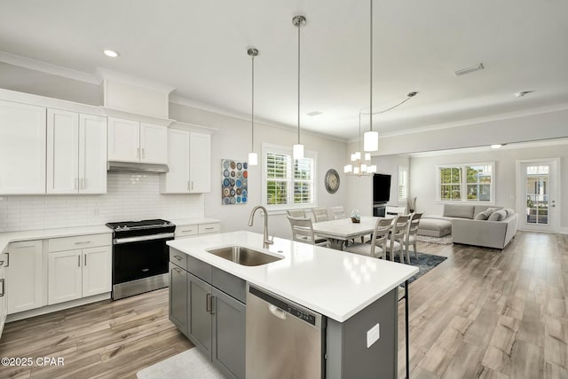 19 Mckenna Way, Santa Rosa Beach, FL 32459 - kitchen with a sink, stainless steel appliances, under cabinet range hood, crown molding, and light countertops