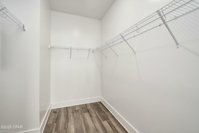 19 Mckenna Way, Santa Rosa Beach, FL 32459 - walk in closet featuring wood finished floors