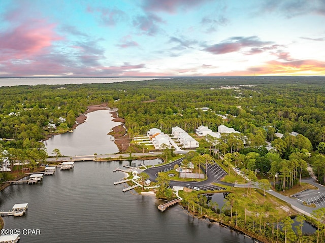 19 Mckenna Way, Santa Rosa Beach, FL 32459 - aerial view at dusk with a water view and a forest view