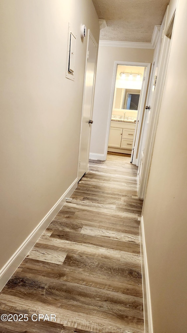corridor featuring light wood-style flooring, a sink, baseboards, a textured ceiling, and crown molding