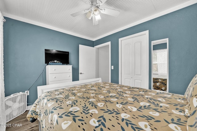 bedroom featuring a closet, ceiling fan, and wood finished floors