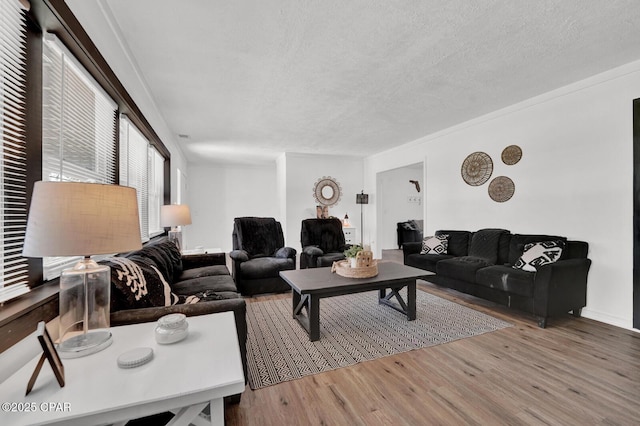 living room featuring a textured ceiling and wood finished floors