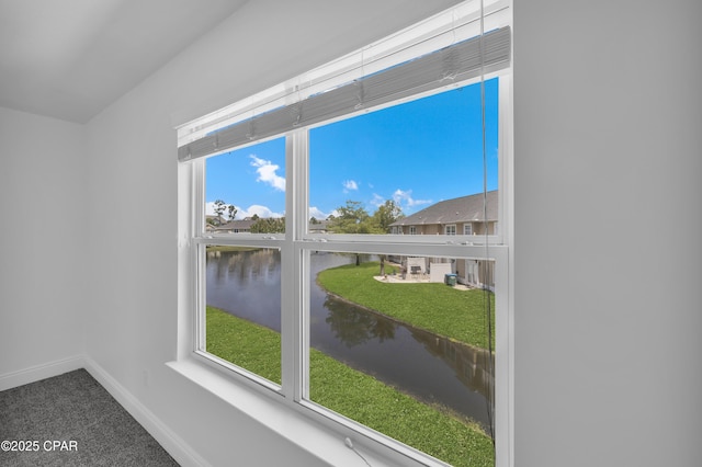 details with a water view, baseboards, and carpet floors