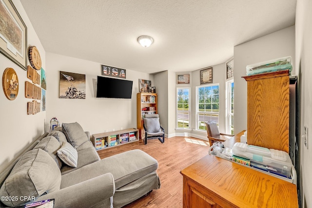 111 Water Lilly Cv, Panama City, FL 32404 - living room with light wood finished floors, baseboards, and a textured ceiling