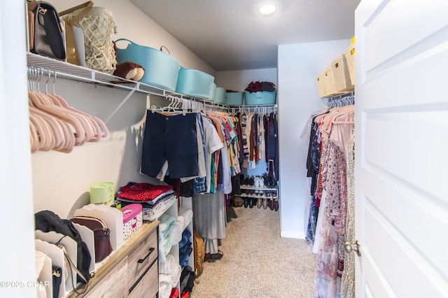 spacious closet with light carpet