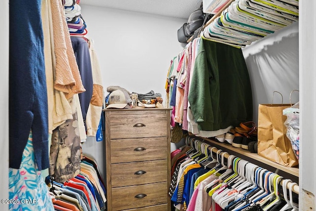 view of walk in closet