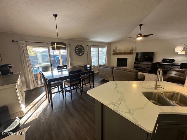 kitchen with light stone countertops, a sink, a ceiling fan, open floor plan, and dark wood-style floors