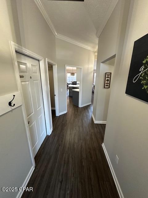 corridor featuring crown molding, baseboards, dark wood finished floors, and a textured ceiling