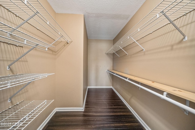 spacious closet with wood finished floors