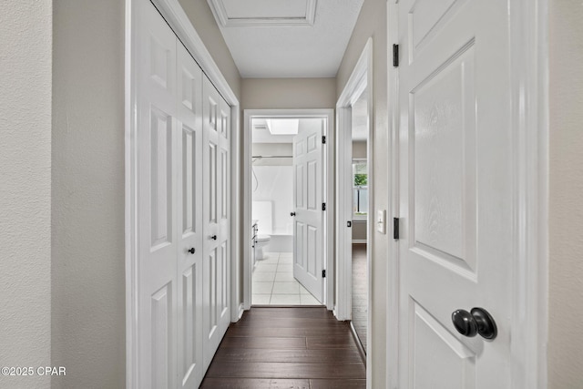 hallway with dark wood finished floors
