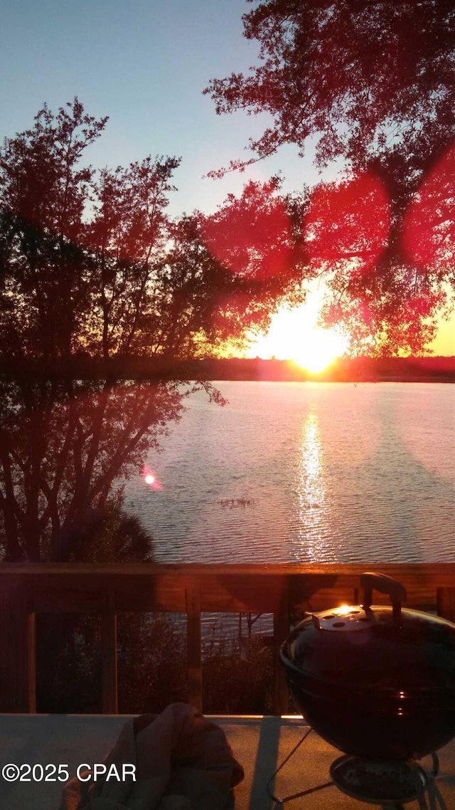 property view of water