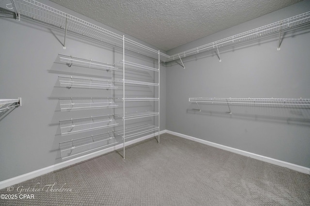 4704 Shannon Ln, Panama City, FL 32404 - walk in closet with carpet